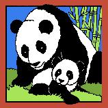 Hand Painted Panda Tile Made Expressly for the National Zoo by Besheer Art Tile......A newborn giant panda (Ailuropoda melanoleuca) weighs between three to five ounces at birth or about 1/900 of its mother�s weight. At six weeks old, it weighs almost ten times its birth weight with a thick coat of black-and-white fur covering its body. When a young panda reaches two years of age, will be 150 to 250 pounds and up to five feet in length. Learn more about this critically endangered species at www.nationalzoo.si.edu.